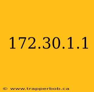 172.30.1.1