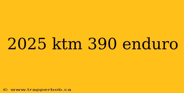 2025 ktm 390 enduro