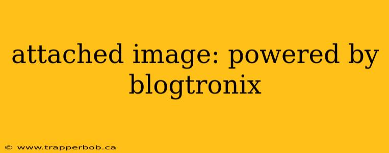 attached image: powered by blogtronix
