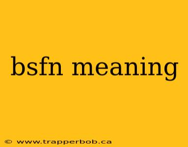 bsfn meaning