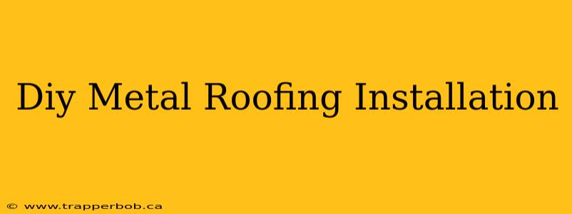 Diy Metal Roofing Installation