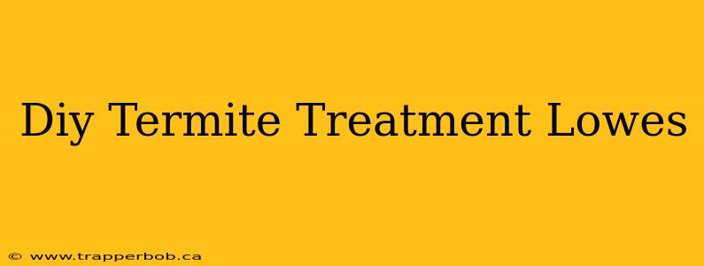Diy Termite Treatment Lowes