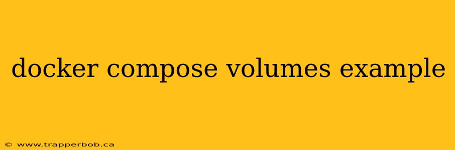docker compose volumes example