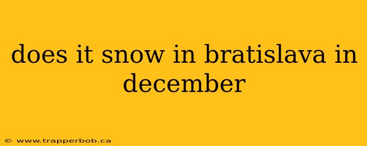 does it snow in bratislava in december