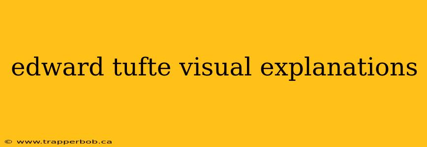edward tufte visual explanations