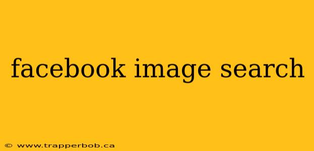 facebook image search