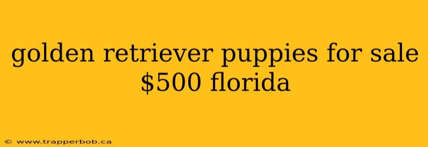 golden retriever puppies for sale $500 florida