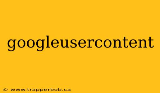 googleusercontent