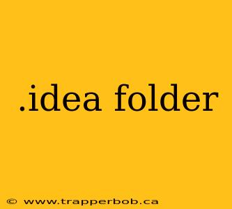 .idea folder