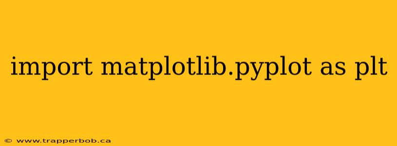 import matplotlib.pyplot as plt