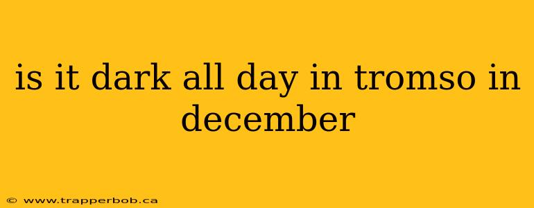 is it dark all day in tromso in december