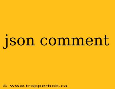 json comment