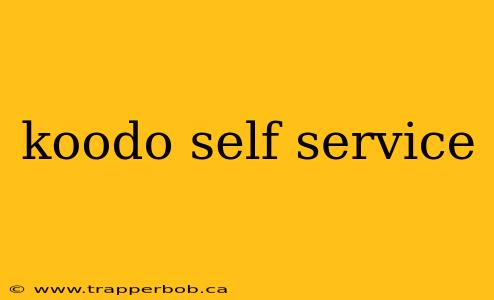 koodo self service