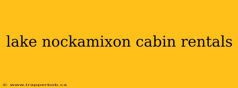 lake nockamixon cabin rentals