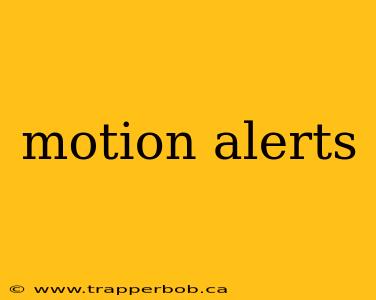 motion alerts