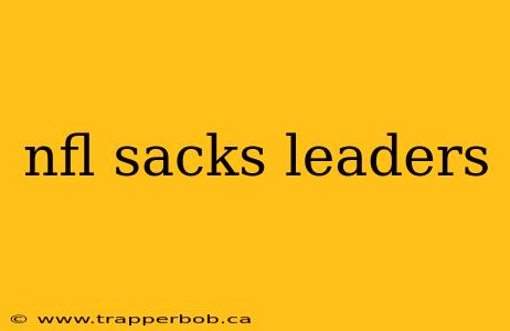 nfl sacks leaders