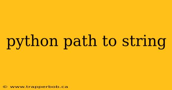 python path to string