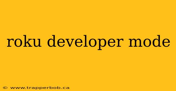 roku developer mode
