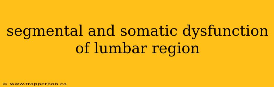segmental and somatic dysfunction of lumbar region