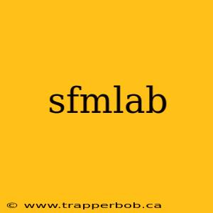 sfmlab