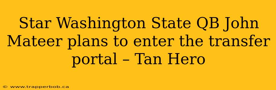 Star Washington State QB John Mateer plans to enter the transfer portal – Tan Hero