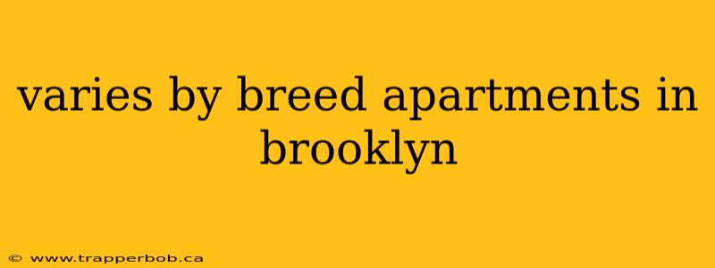 varies by breed apartments in brooklyn