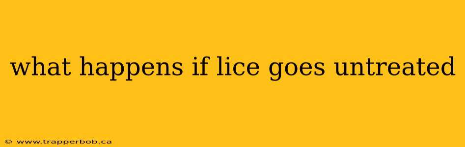 what happens if lice goes untreated