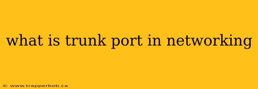 what is trunk port in networking