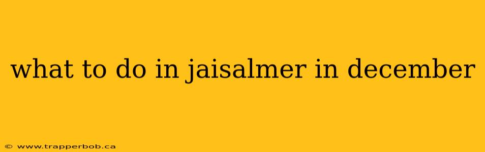 what to do in jaisalmer in december
