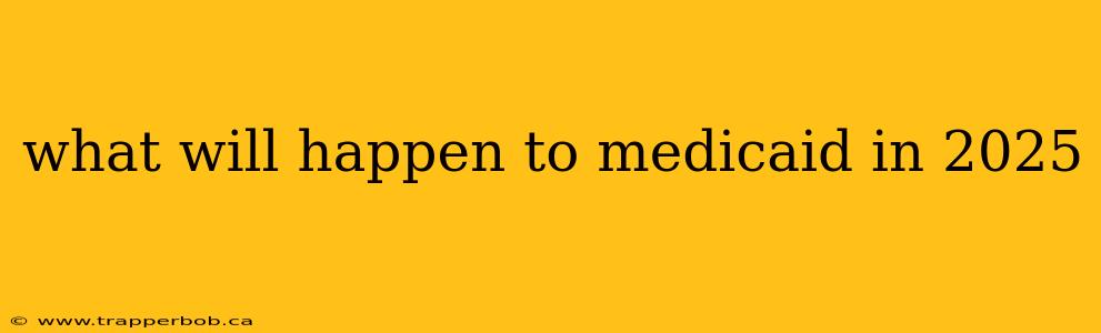 what will happen to medicaid in 2025